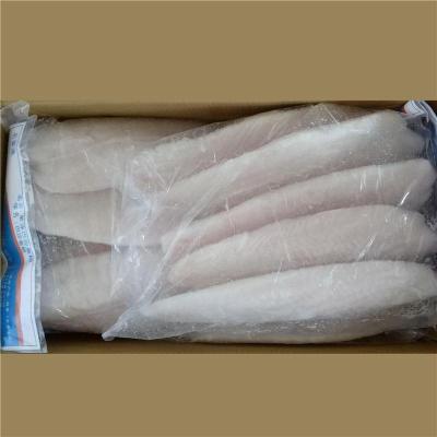 福州進(jìn)口巴基斯坦水產(chǎn)品代理報關(guān)