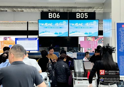 福州紐約 今天復航